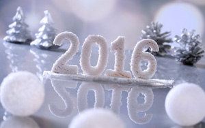 2016֣µһ꣬ѩͼƬ2016ֽ