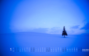 һ羰20161ֽ