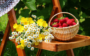 ԰Ժӣӣݮֽ