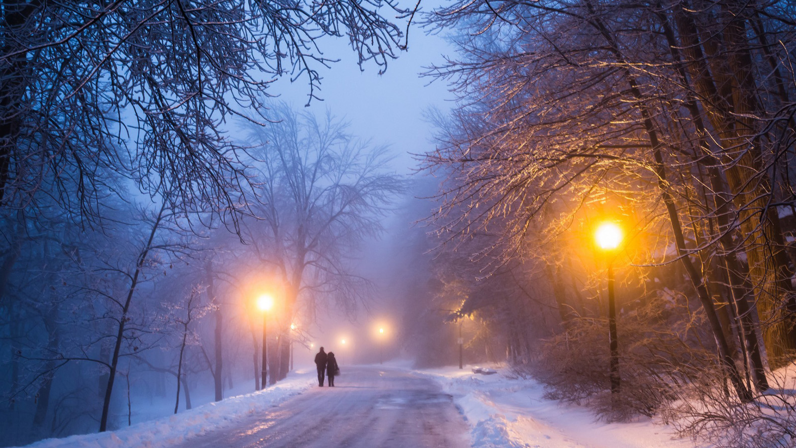 浪漫情侣在雪中漫步-情人节主题桌面图片预览 | 10wallpaper.com