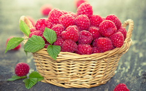 ӣɣҶӣݮˮֽ