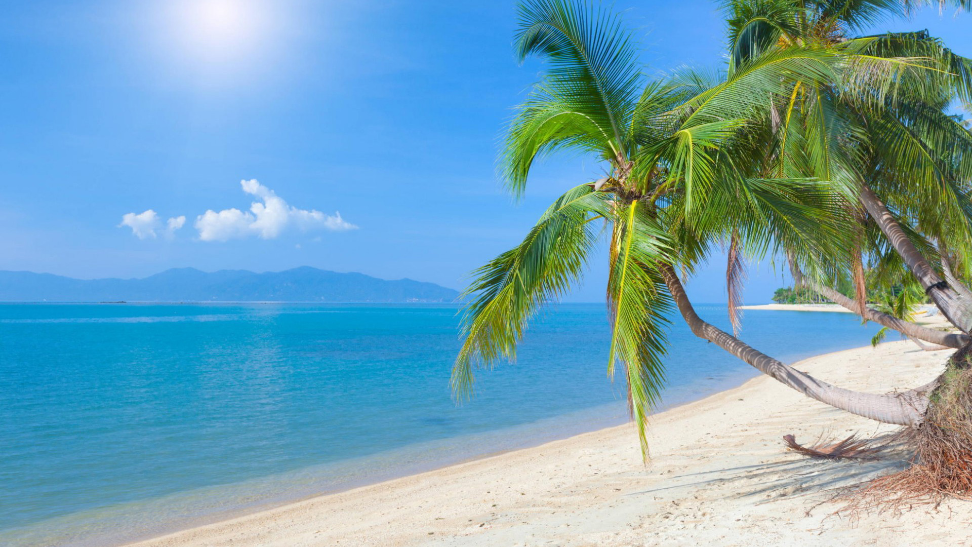 海洋,棕榈树,沙滩,沙子,蓝天,白云,美丽的大海风景桌面壁纸