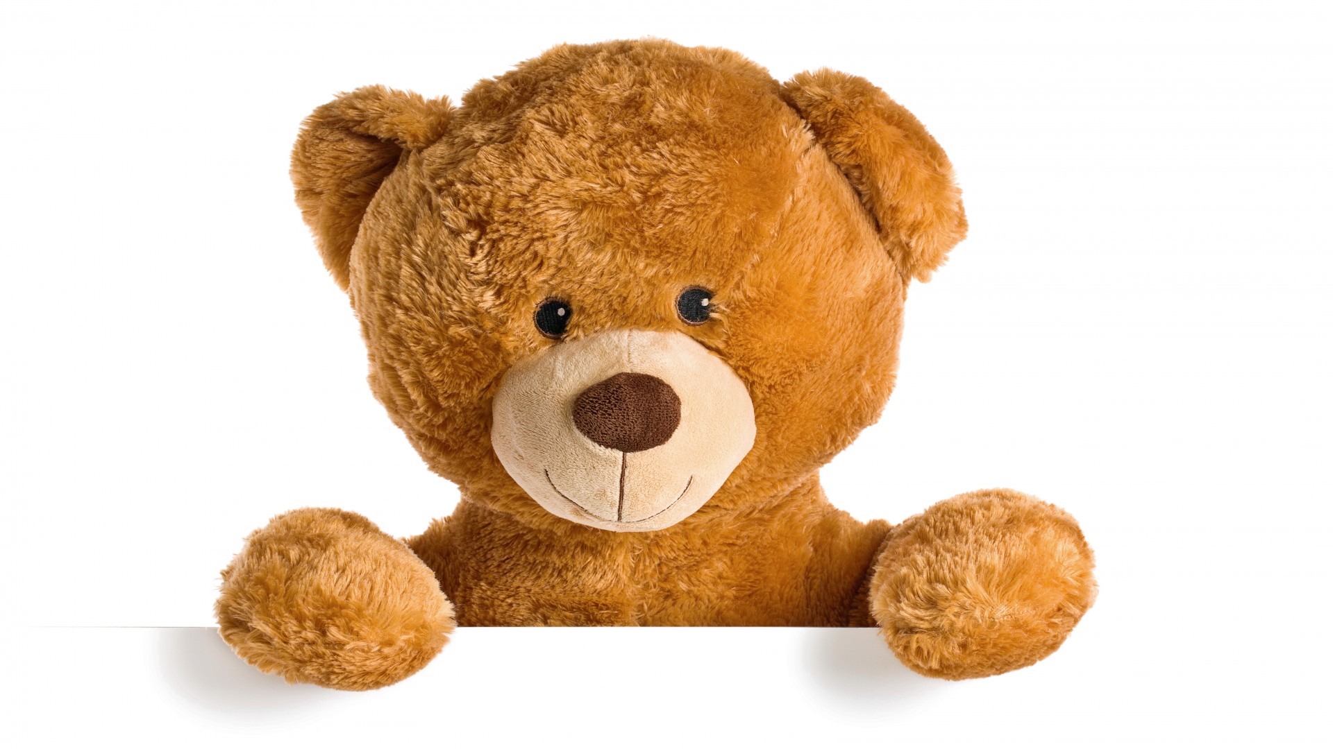 泰迪熊,熊,玩具,可爱,泰迪熊,桌面壁纸