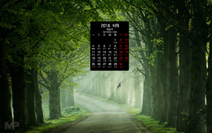 Ȼ羰20164ֽ