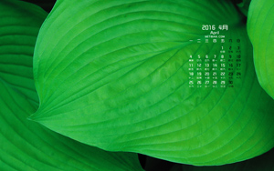 Ҷ20164ֽ