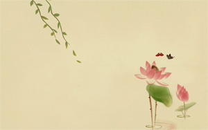 ɽˮɻ嶯ֽ̬