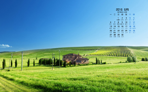 Ʋݵũ羰20166ֽ