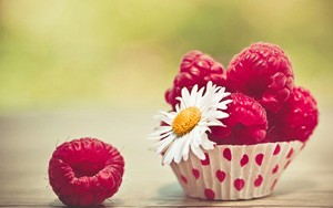 ݮ,ʾ,,ֽ