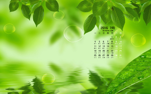 Ҷ20167ֽ