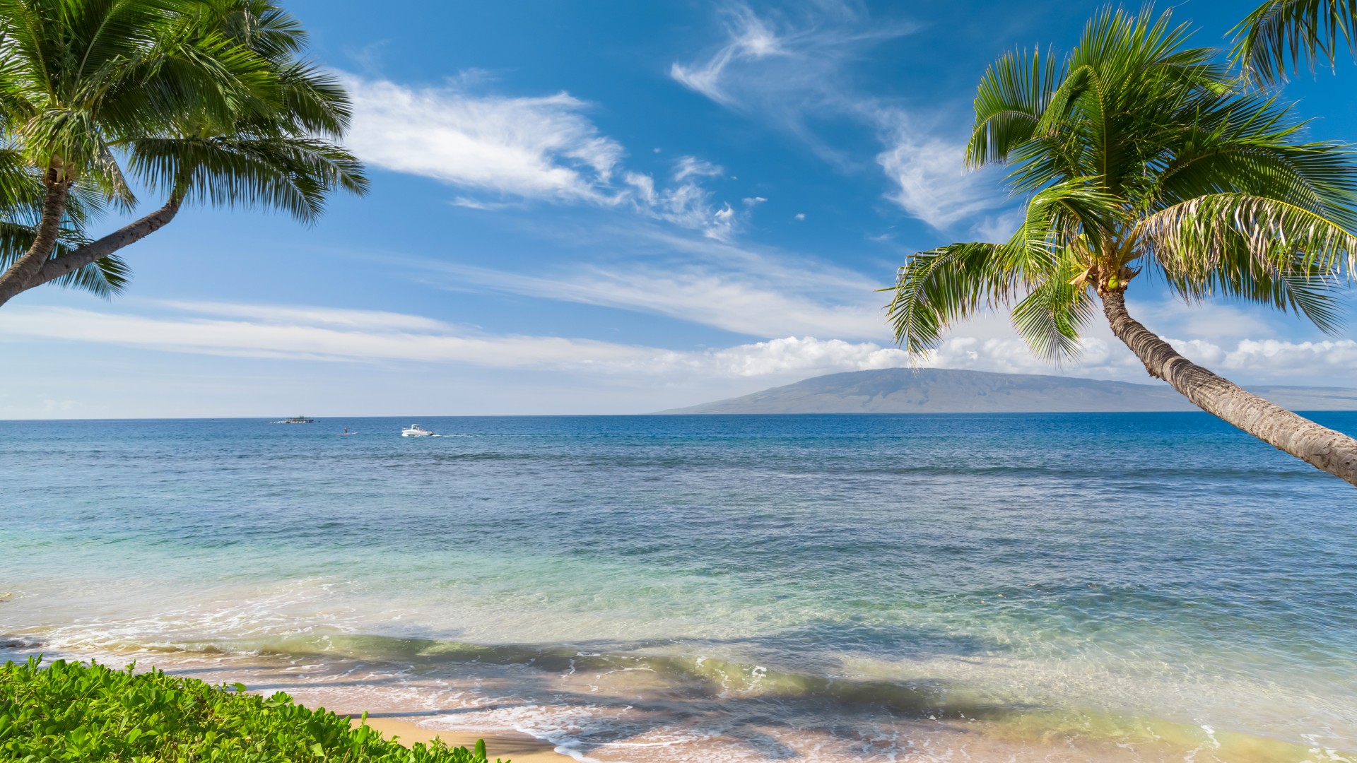 夏威夷 热带海岸风景桌面壁纸高清大图预览19x1080 风景壁纸下载 彼岸桌面