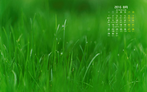 ̲ݵ20168ֽ