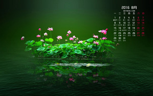ɻҶ20168ֽ