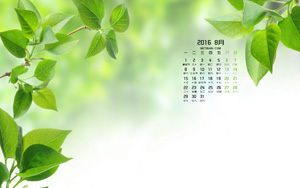 Ҷ20168ֽ