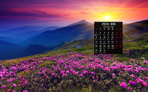 ɽϵ̫ʻ20168·羰ֽ