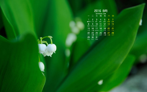 ۷20168ֽ