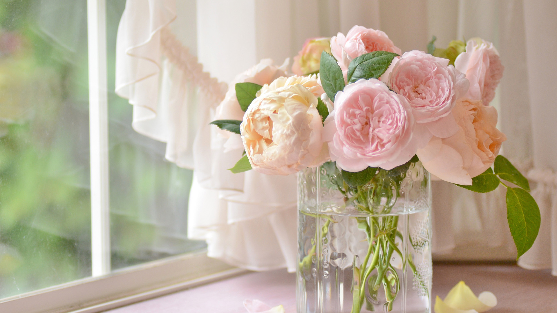 粉色玫瑰花 花束 花瓶 温馨电脑壁纸 彼岸壁纸手机版