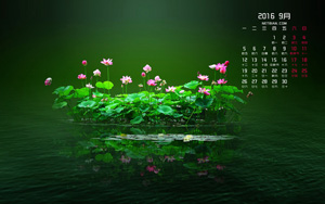 ɻ20169ֽ
