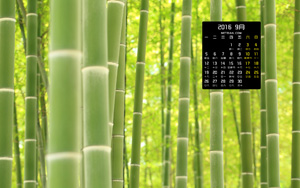 ӷ羰20169ֽ
