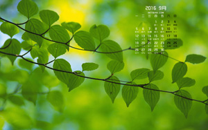 Ҷ20169ֽ
