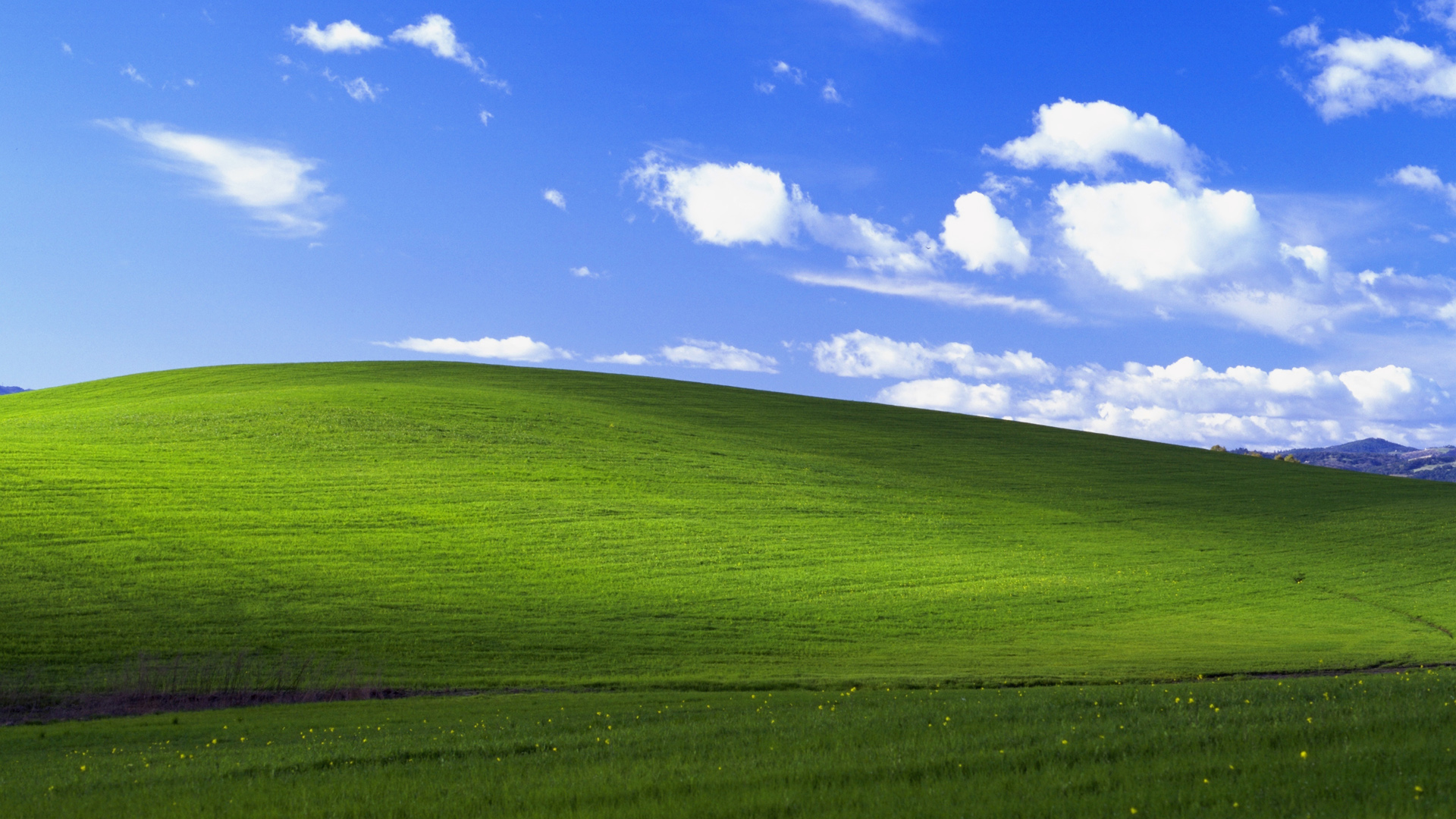 蓝天白云绿草地风景 Windows Xp默认风景经典桌面壁纸 风景壁纸 壁纸下载 彼岸桌面