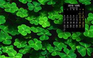 Ҷ201610ֽ