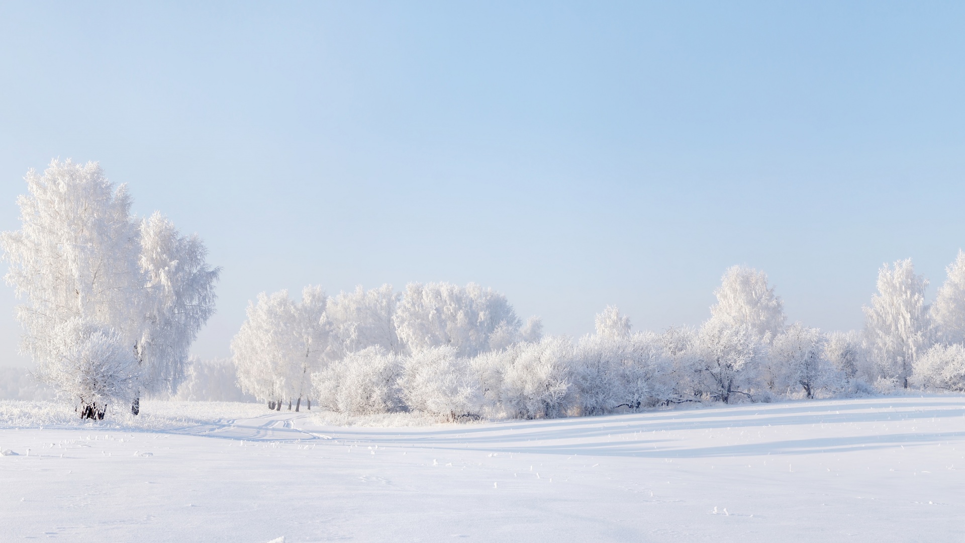 冬天的雪 天空 树木 全景风景桌面壁纸 风景壁纸 壁纸下载 彼岸桌面
