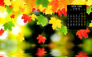 Ҷ201610·羰ֽ