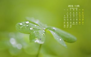 Ҷ¶ˮ201611ֽ