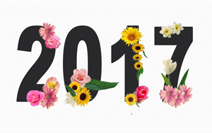 2017ֽ