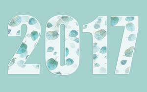 2017Ҷֽ