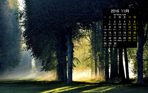 糿ַ羰201611ֽ