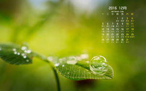 Ҷ201612ֽ
