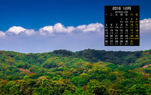 շ羰201612ֽ