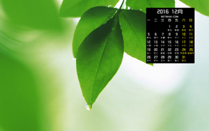 Ҷ201612ֽ