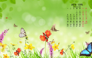 Ҷ201612ֽ