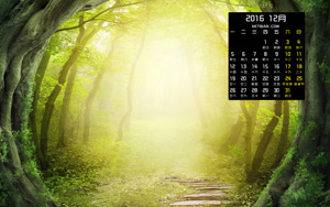 ͯ羰201612ֽ
