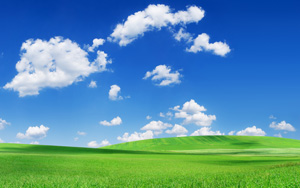 ݵطֽ