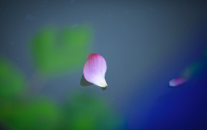 ĺֽ