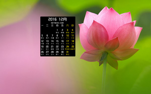 201612ֽ
