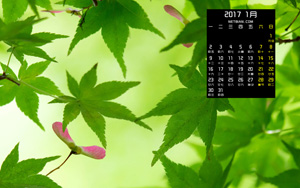 ɫķҶ20171羰ֽ