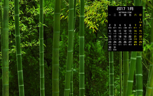 ַ羰20171ֽ