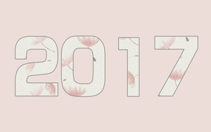 2017ɫֽ