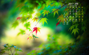 ۷Ҷ20172·羰ֽ