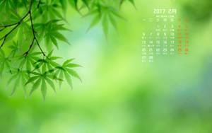 Ȼ20172ֽ