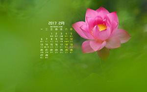 ɻ20172ֽ