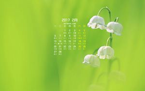 ȻĻ20172ֽ