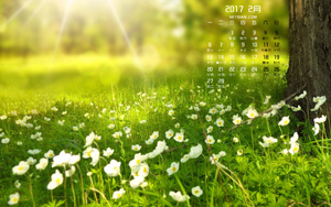 컨ľ羰20172ֽ