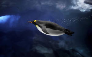 ϼˮӾֽ