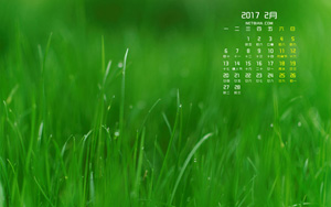 ɫС20172ֽ