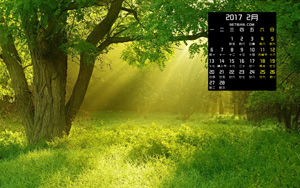 ɭ糿羰20172ֽ